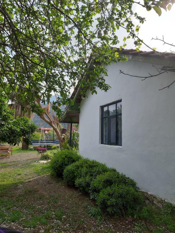 Cirali Friends Pension&Camping Exterior foto